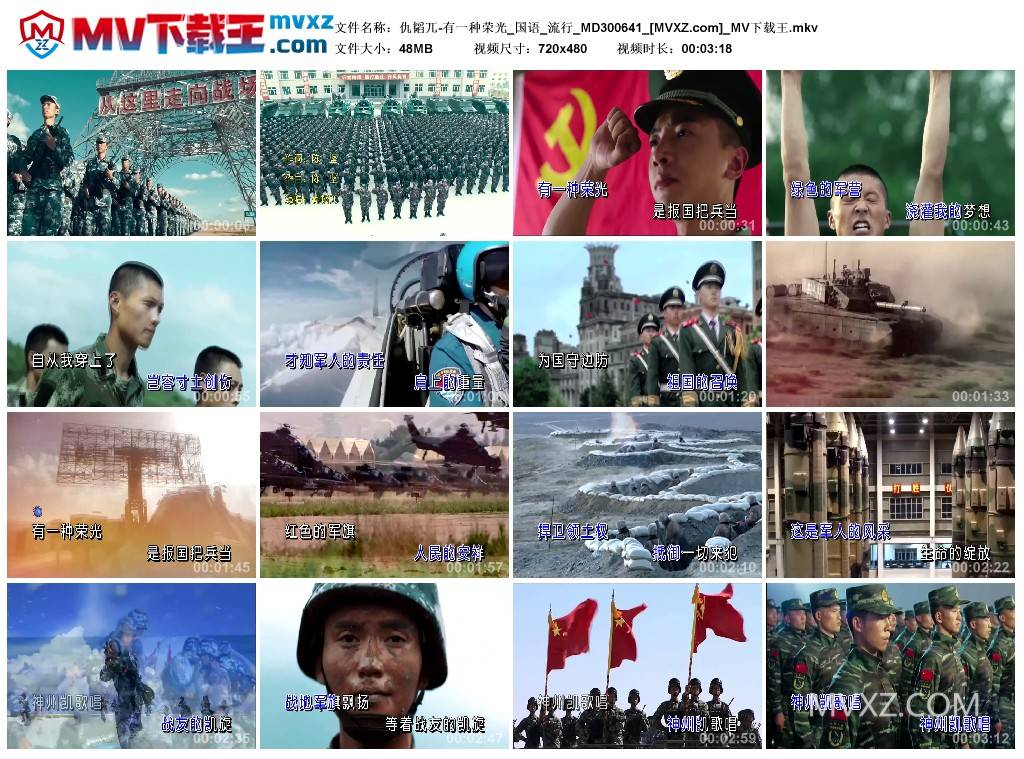 仇韬兀-有一种荣光_国语_流行_MD300641